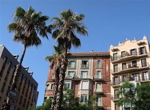 The Future of Real Estate: How Homes and Cities Are Changing