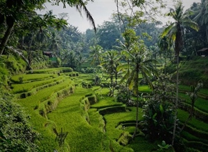Ubud, Bali: Culture and Nature in the Heart of the Island