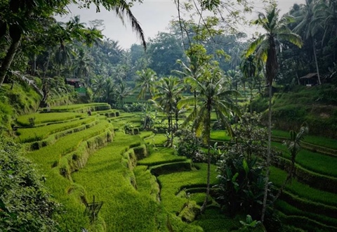 Ubud, Bali: Culture and Nature in the Heart of the Island
