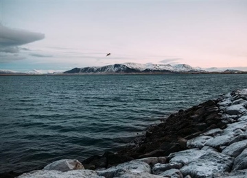 Reykjavik and Iceland's Golden Circle: Gateway to Extraordinary Landscapes