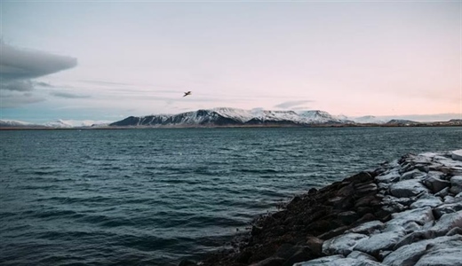 Reykjavik and Iceland's Golden Circle: Gateway to Extraordinary Landscapes