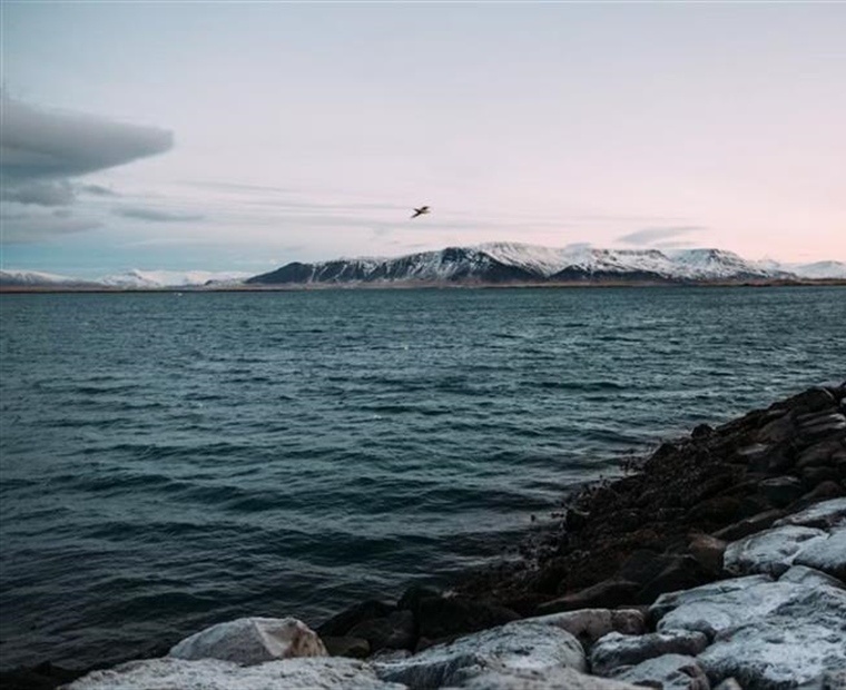 Reykjavik and Iceland's Golden Circle: Gateway to Extraordinary Landscapes