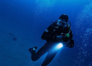Dive Watches: From Professional Tools to Everyday Icons