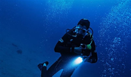 Dive Watches: From Professional Tools to Everyday Icons