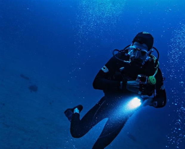 Dive Watches: From Professional Tools to Everyday Icons