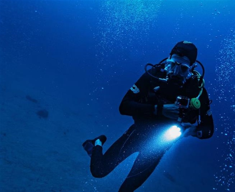 Dive Watches: From Professional Tools to Everyday Icons