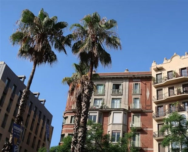 The Future of Real Estate: How Homes and Cities Are Changing