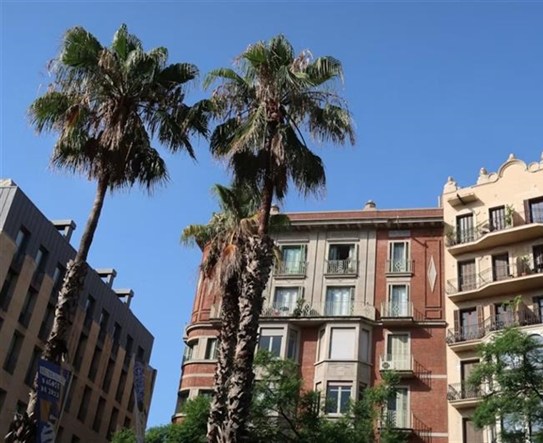 The Future of Real Estate: How Homes and Cities Are Changing
